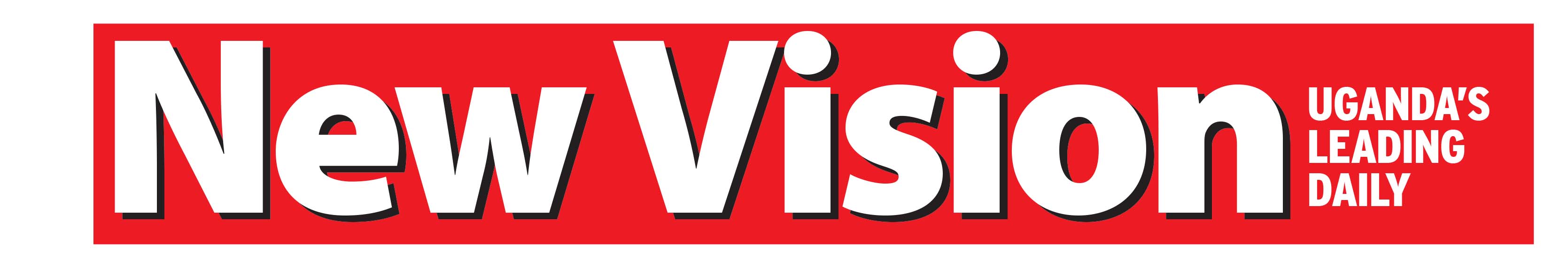 New vision logo