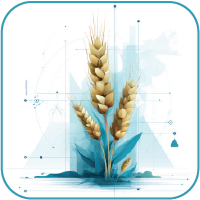 Premium Grain Selection