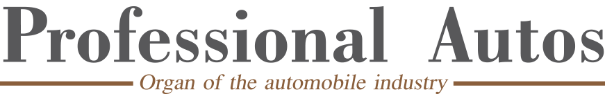 Professional Autos Logo