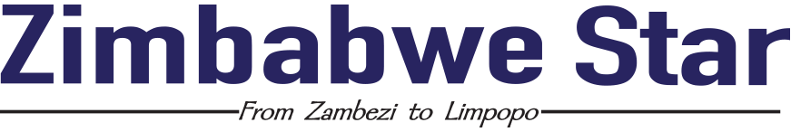 Zimbabwe Star Logo